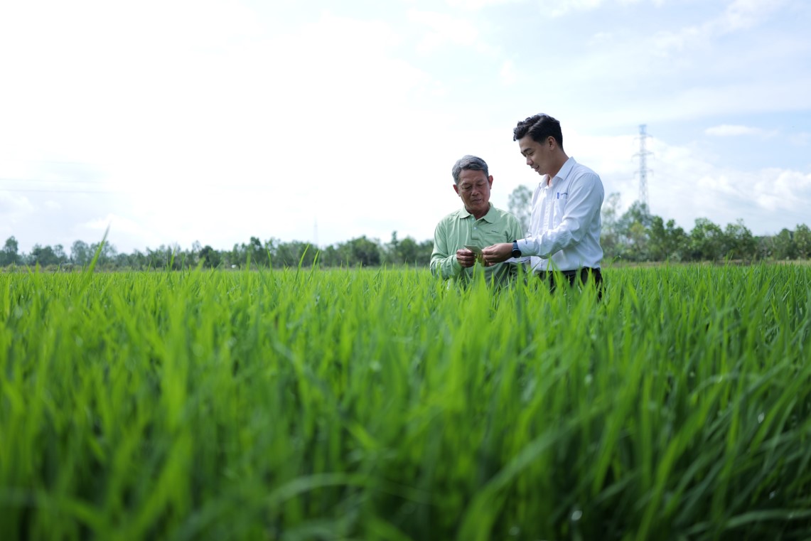 Không còn nỗi lo sâu cuốn lá kháng thuốc, nông dân an tâm canh tác - Ảnh 1.