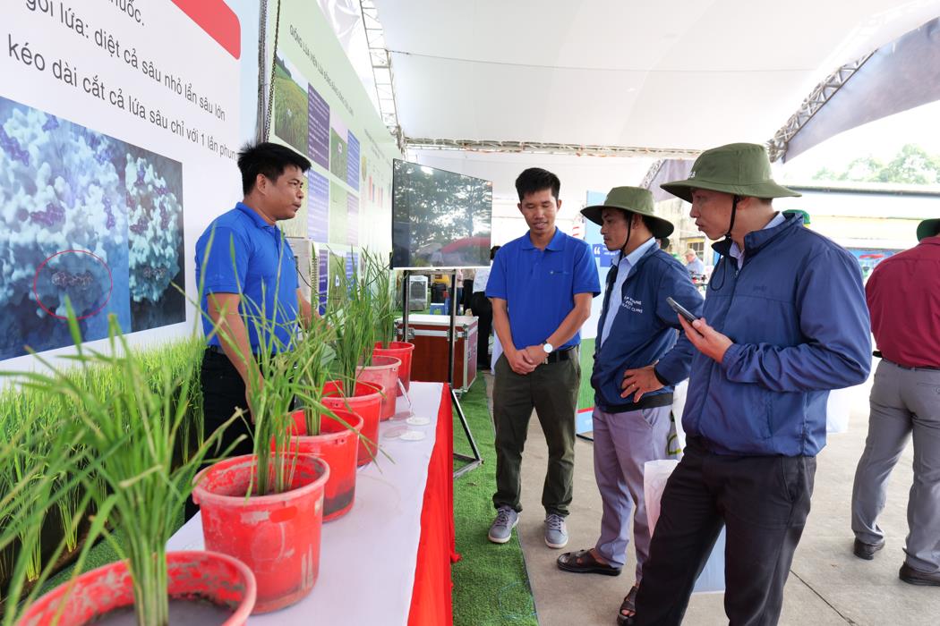 Không còn nỗi lo sâu cuốn lá kháng thuốc, nông dân an tâm canh tác - Ảnh 2.