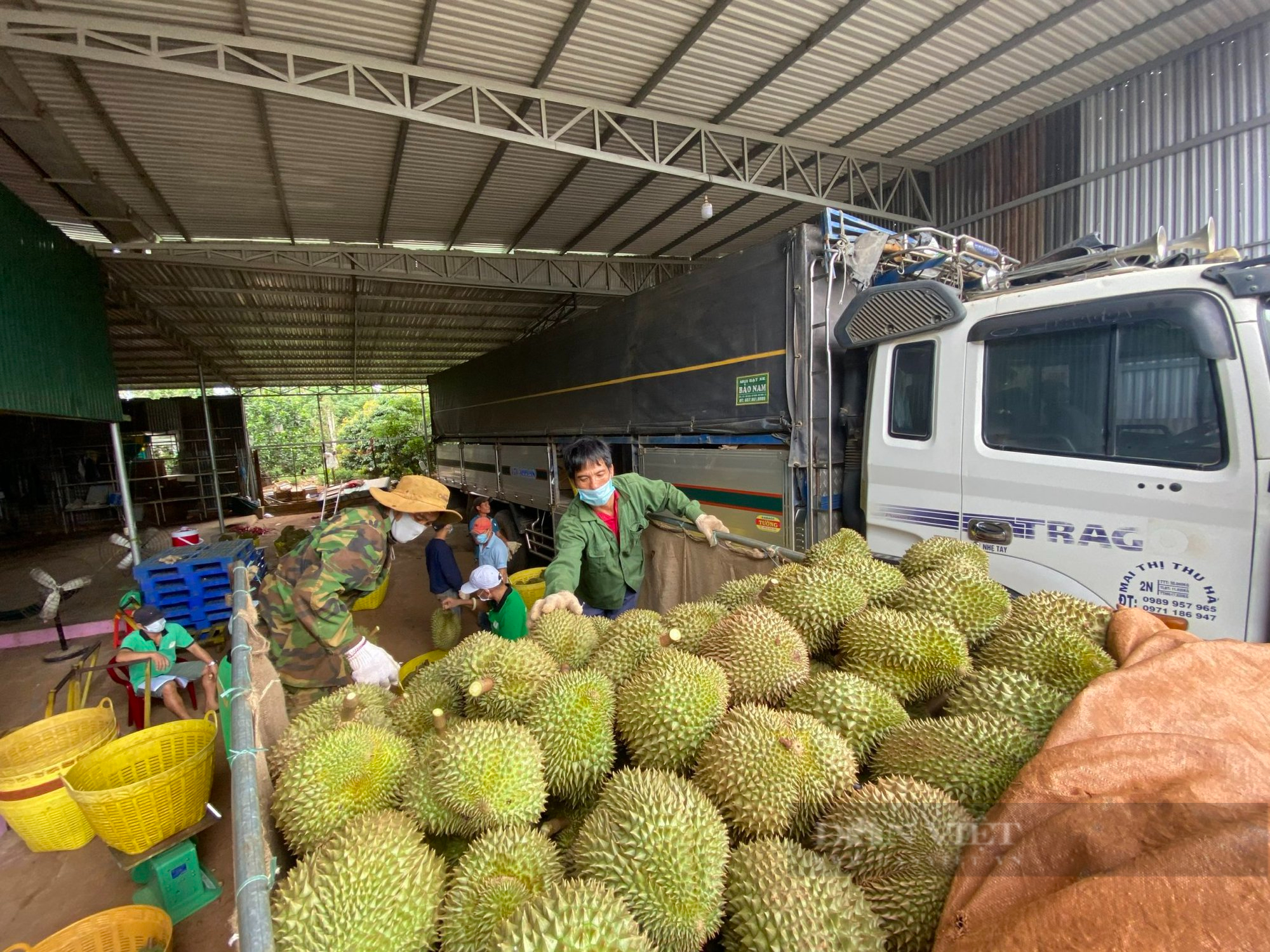 Gỡ khó trong giao thương nông, thủy sản Việt Nam - Trung Quốc - Ảnh 4.