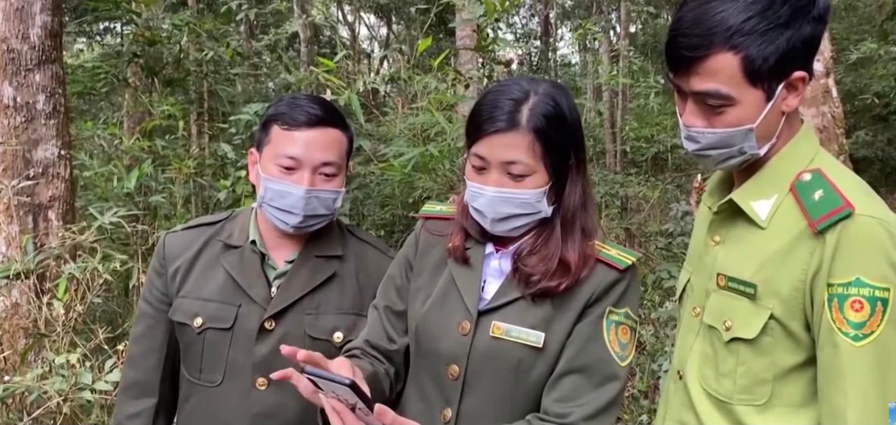 Điện Biên: Sử dụng công nghệ để bảo vệ những cánh rừng - Ảnh 1.