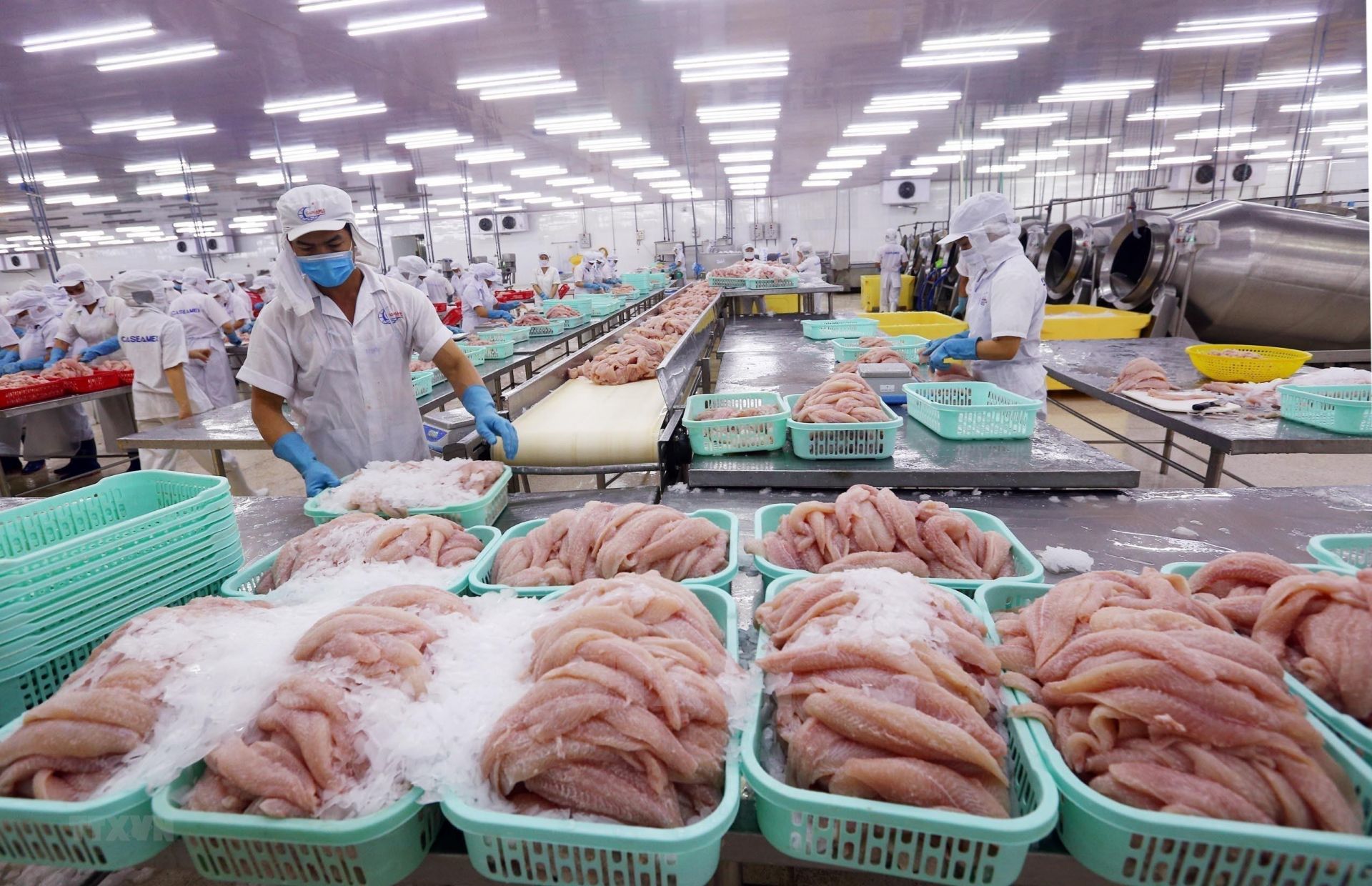 Một doanh nghiệp Trung Quốc muốn mua lượng lớn sầu riêng, khoai lang tím, cá basa, cá hố... - Ảnh 3.