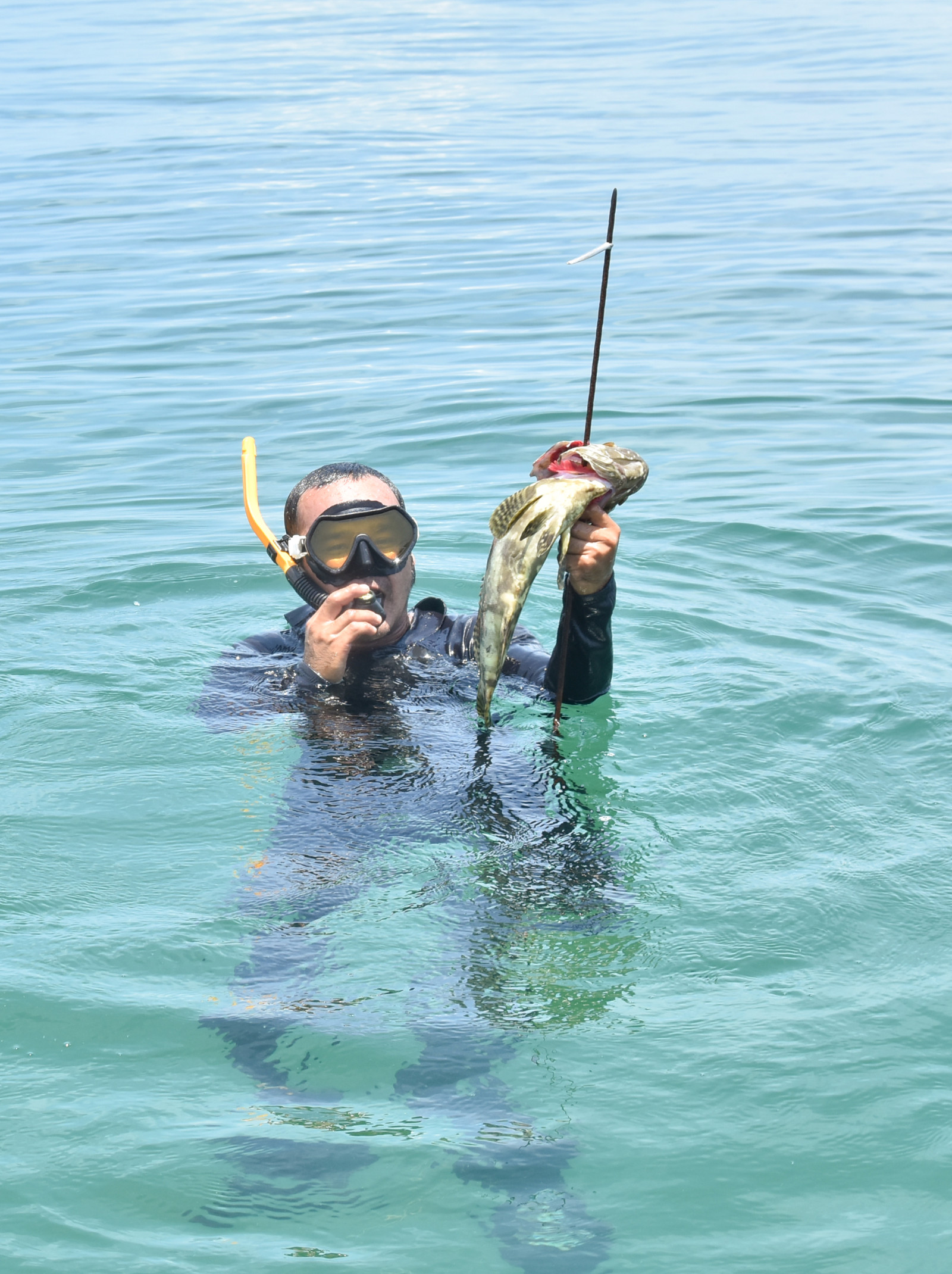 Một làng chài ở Phú Quốc của Kiên Giang, khách bắn cá thiện xạ, câu cá mực nâng cần lên &quot;sướng tay&quot; - Ảnh 6.