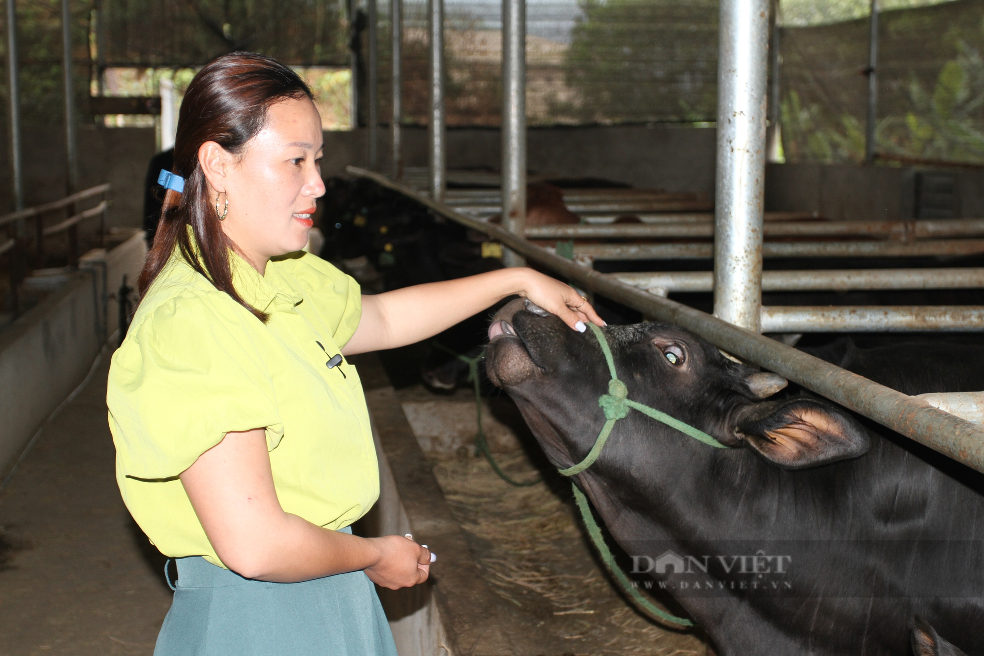 Một HTX ở Thái Nguyên: Tạo việc làm, giúp đồng bào Mông thoát nghèo nhờ mô hình liên kết chăn nuôi - Ảnh 2.