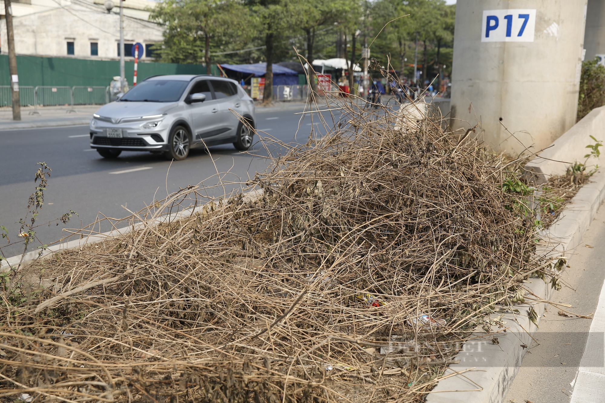 Dưới gầm tuyến đường sắt đô thị 34.532 tỷ đồng tại Hà Nội thành nơi trồng rau và tập kết rác thải - Ảnh 5.