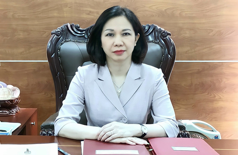 Chân dung tân Phó Chủ tịch UBND TP.Hà Nội Vũ Thu Hà - Ảnh 1.