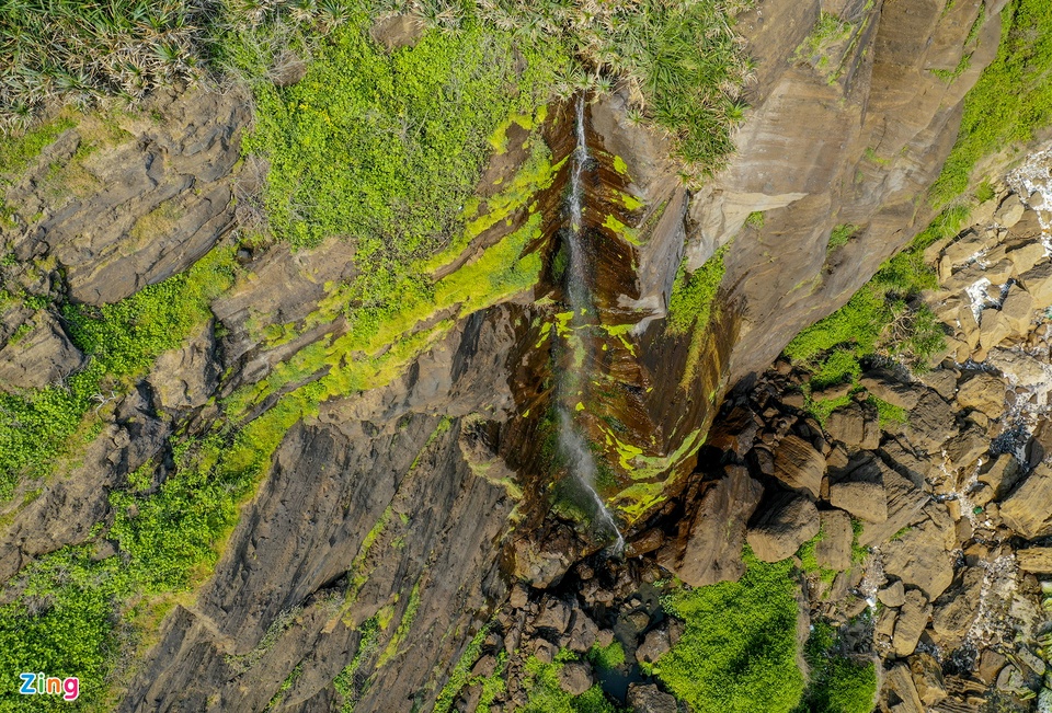 Vẻ đẹp thảm rêu xanh ở đảo Lý Sơn - Ảnh 9.