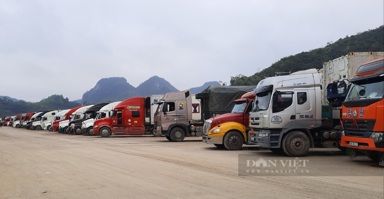 Nghịch Lý ở Lạng Sơn cứ xe hàng xuất khẩu đông lại kêu khó  - Ảnh 3.