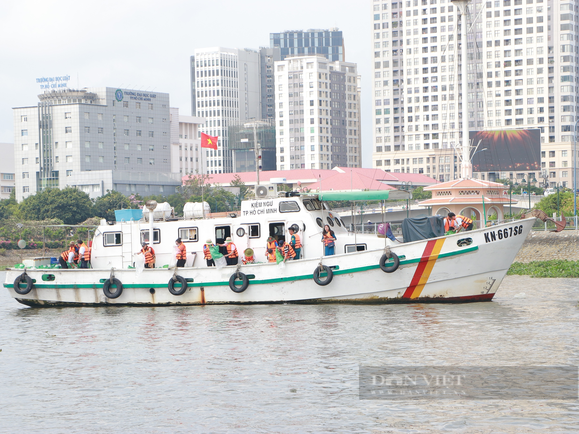 TP.HCM tổ chức thả hơn 300.000 cá giống xuống sông Sài Gòn - Ảnh 1.