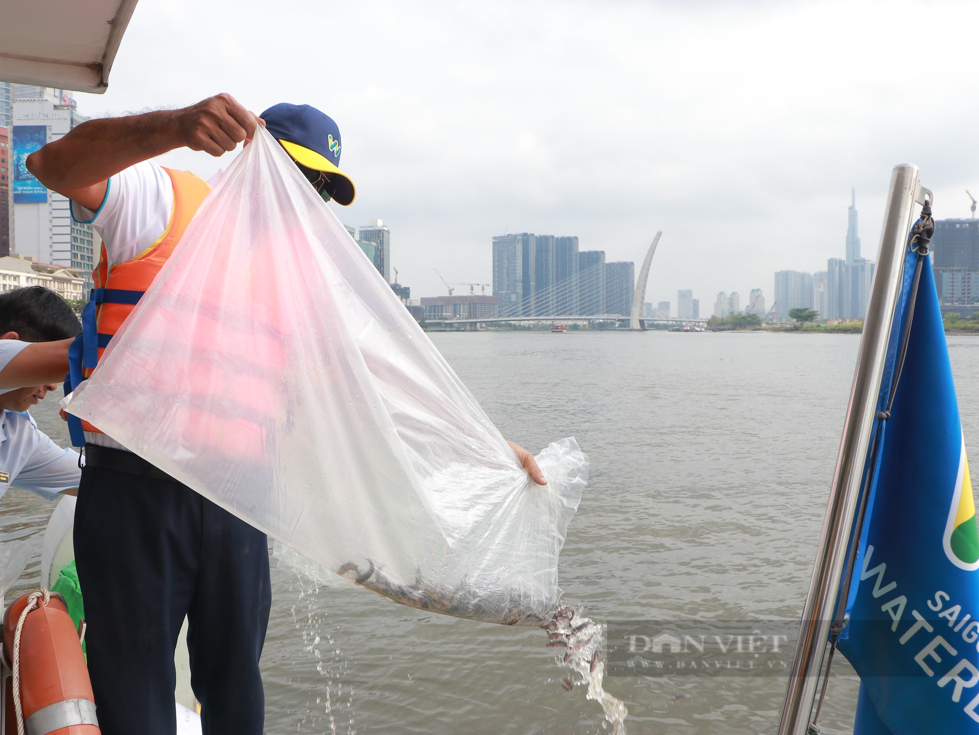 TP.HCM tổ chức thả hơn 300.000 cá giống xuống sông Sài Gòn - Ảnh 4.