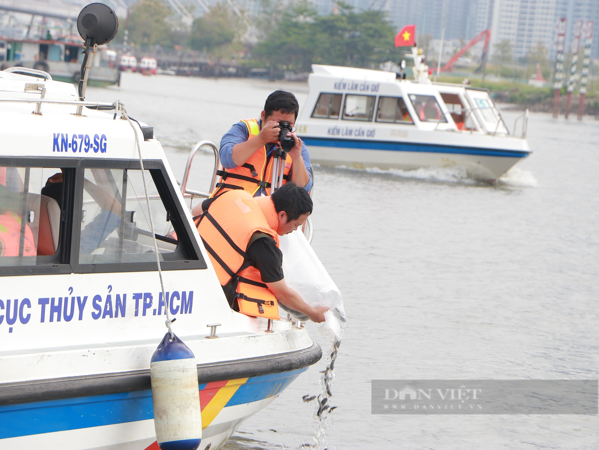 TP.HCM tổ chức thả hơn 300.000 cá giống xuống sông Sài Gòn - Ảnh 7.