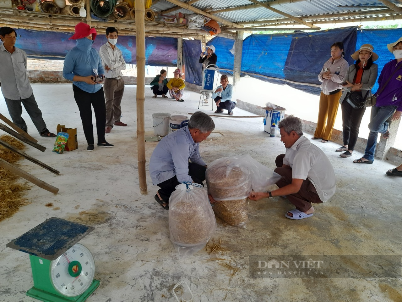 Đà Nẵng: 150 nông dân tham gia tập huấn về kỹ thuật ủ phân hữu cơ thân thiện môi trường - Ảnh 2.
