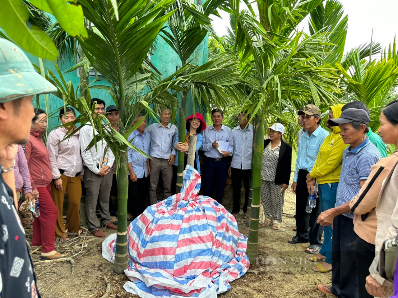 Đà Nẵng: 150 nông dân tham gia tập huấn về kỹ thuật ủ phân hữu cơ thân thiện môi trường - Ảnh 3.