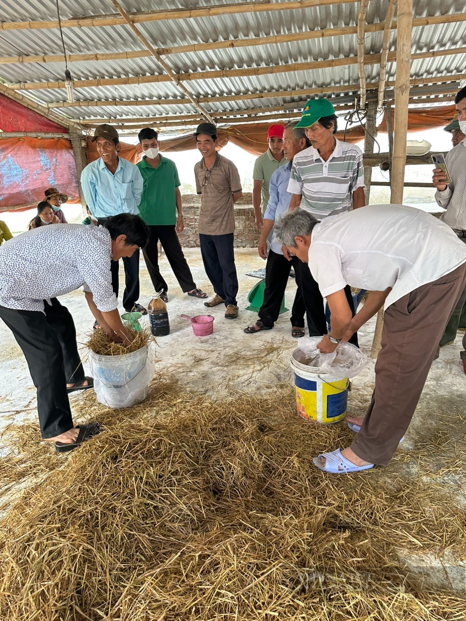 Đà Nẵng: 150 nông dân tham gia tập huấn về kỹ thuật ủ phân hữu cơ thân thiện môi trường - Ảnh 4.