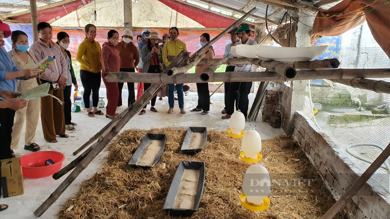Đà Nẵng: 150 nông dân tham gia tập huấn về kỹ thuật ủ phân hữu cơ thân thiện môi trường - Ảnh 5.