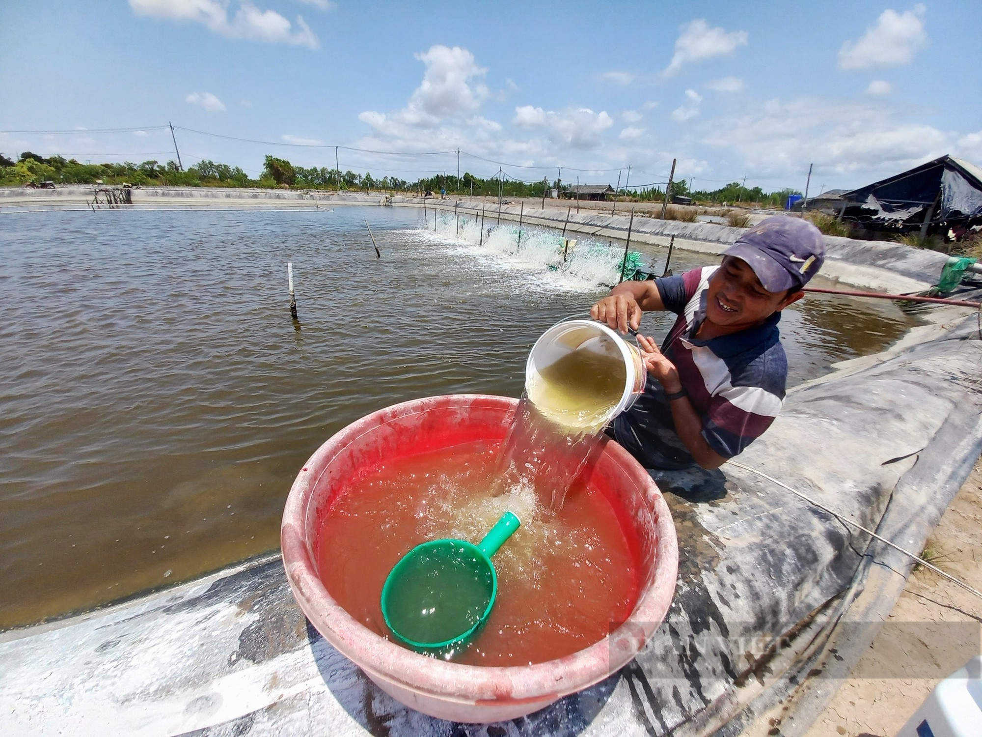 Nuôi loài cá đặc sản thịt thơm mùi lá dứa, nông dân vùng duyên hải này ai cũng giàu to - Ảnh 1.