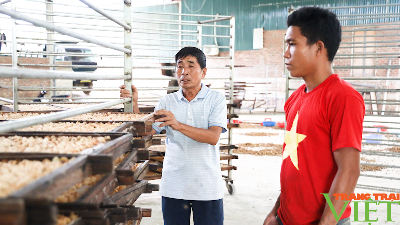 Sơn La: Phát triển nông nghiệp công nghệ cao bền vững - Ảnh 3.