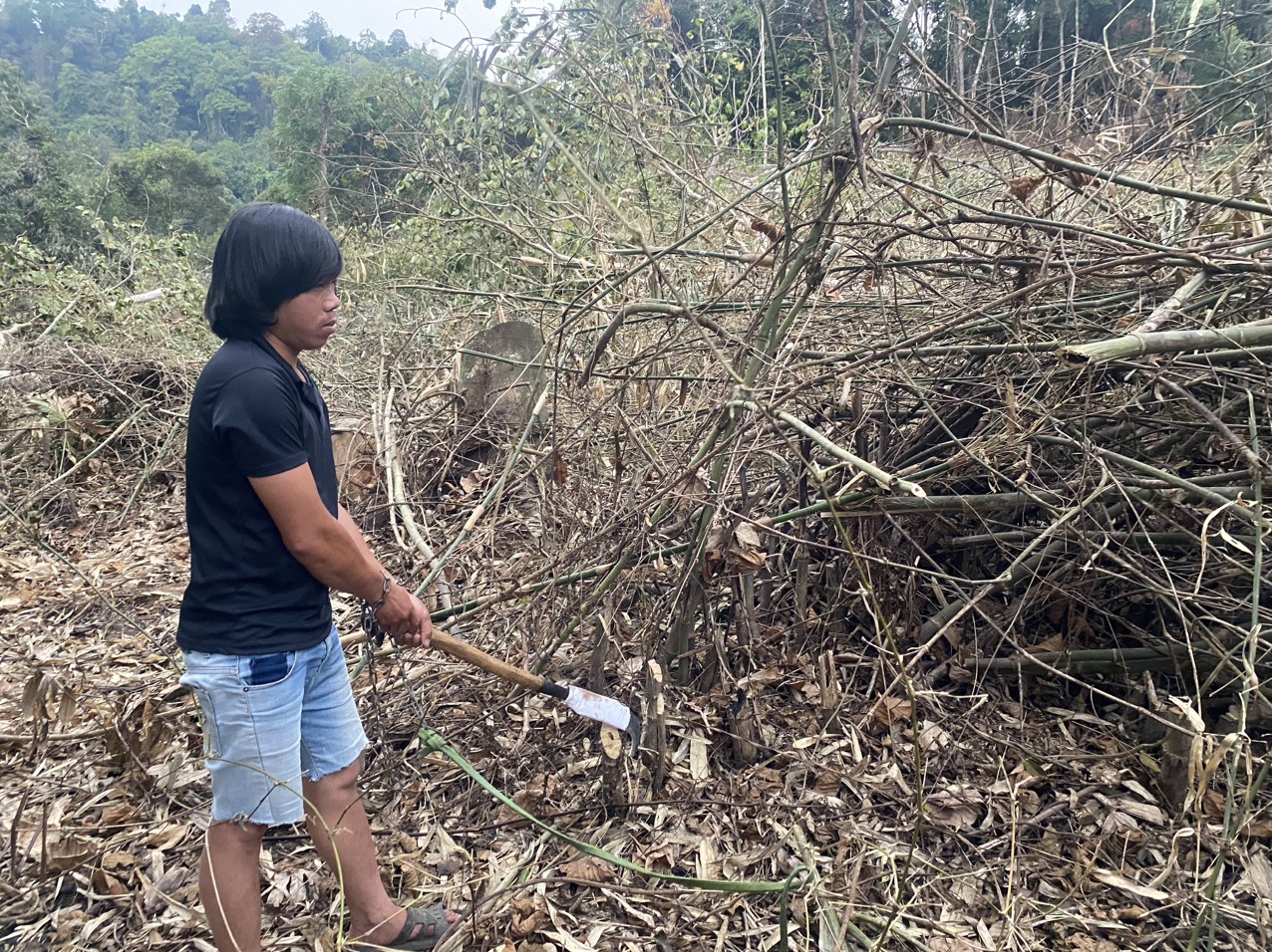 Tạm giữ hình sự 6 đối tượng vụ phá gần 1ha rừng, ủy ban tỉnh chỉ đạo điều tra, xử lý nghiêm - Ảnh 3.