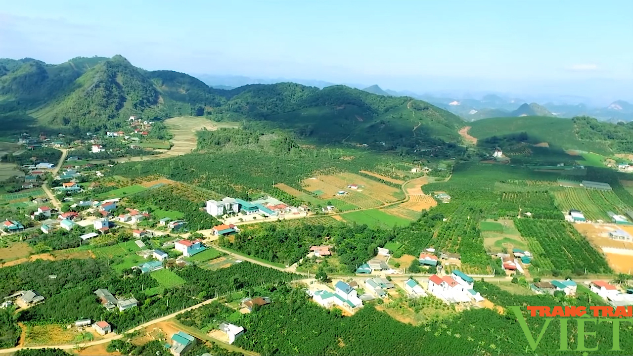 Sơn La: Phát triển nông nghiệp công nghệ cao bền vững - Ảnh 2.