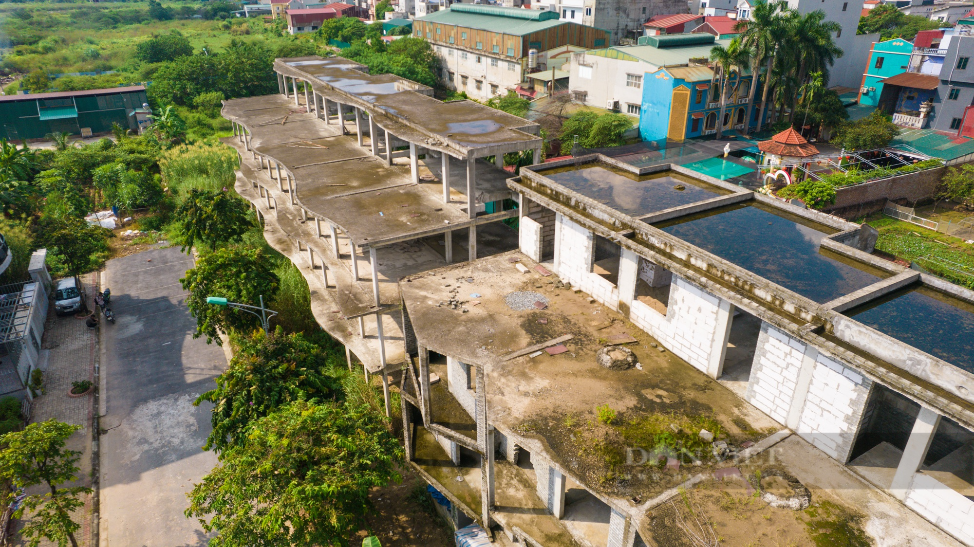 Trồng rau trên những khoảnh đất tiền tỷ tại khu Westpoint Nam 32 - Ảnh 12.