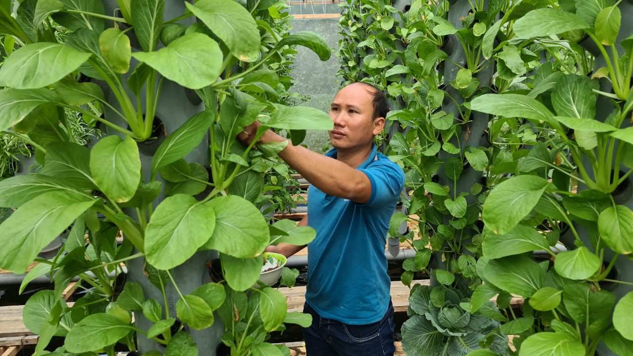 Tập huấn cho hội viên, nông dân Lâm Đồng về kinh tế tuần hoàn trong sản xuất nông nghiệp - Ảnh 3.