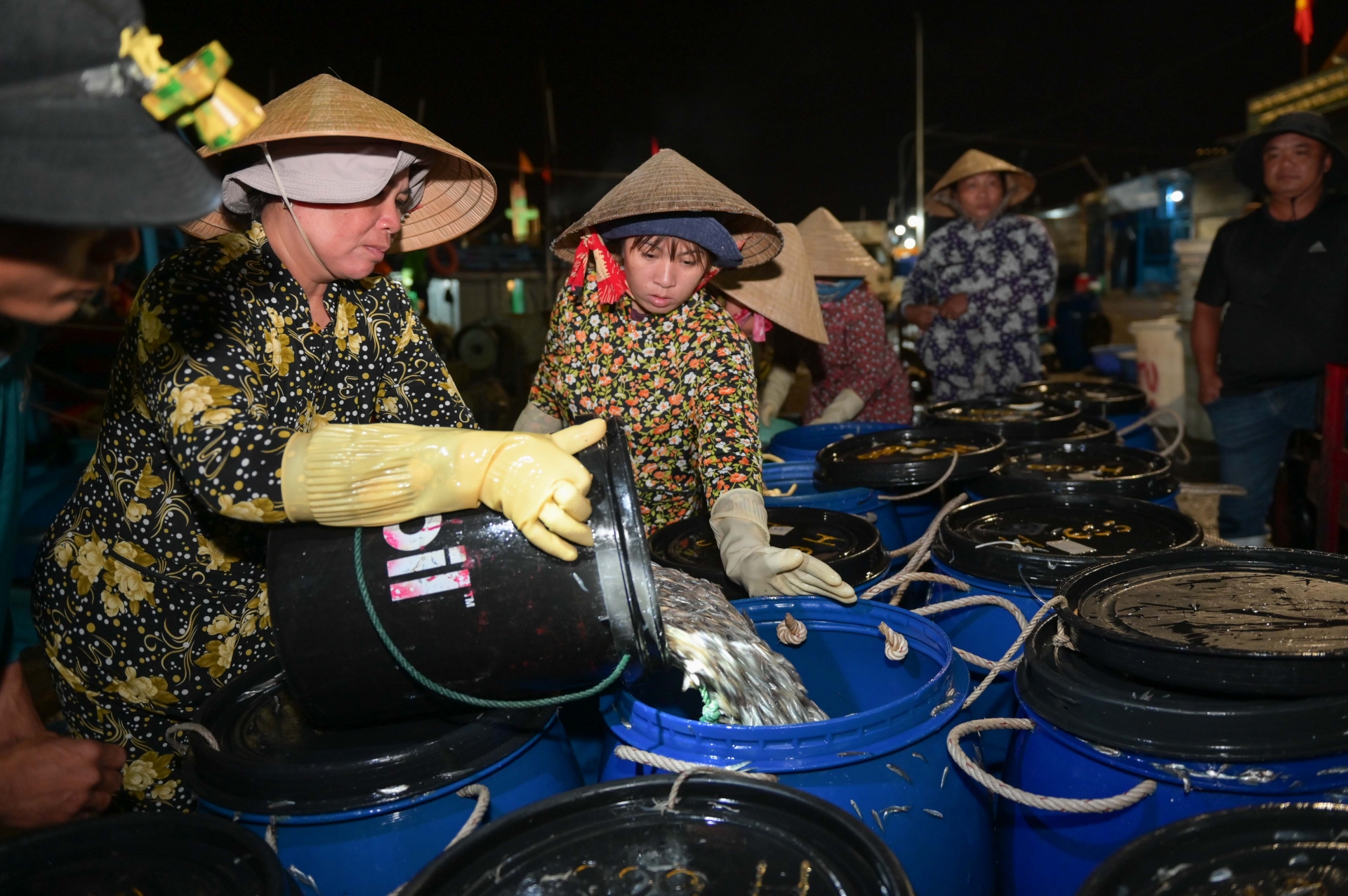 Chợ ở Nha Trang nửa đêm thắp điện, kẻ ra người vào, người mua kẻ bán tấp nập, toàn cá tôm ngon - Ảnh 1.