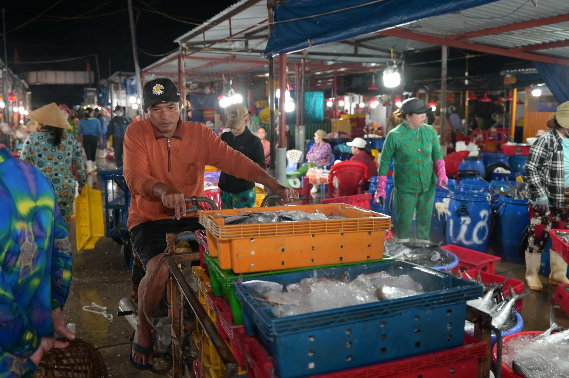 Chợ ở Nha Trang nửa đêm thắp điện, kẻ ra người vào, người mua kẻ bán tấp nập, toàn cá tôm ngon - Ảnh 5.