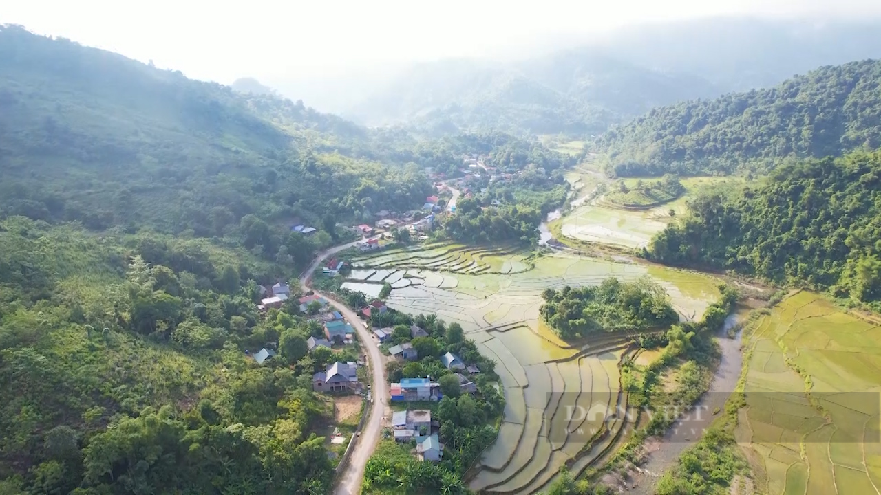 Sơn La: Giúp đồng bào dân tộc thiểu số thoát nghèo - Ảnh 2.