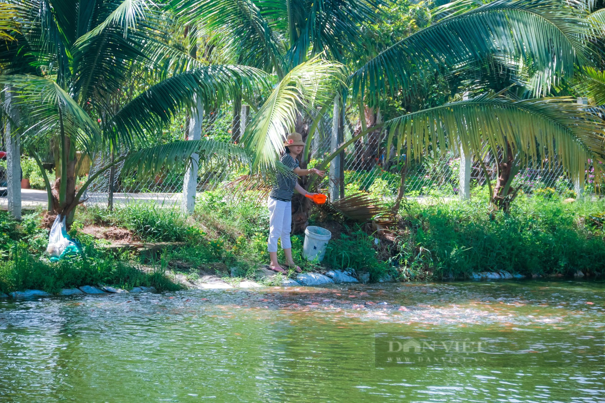 Tập trung hoàn thiện hạ tầng, xã Hoà Khương (Đà Nẵng) hướng đến đô thị loại IV - Ảnh 7.