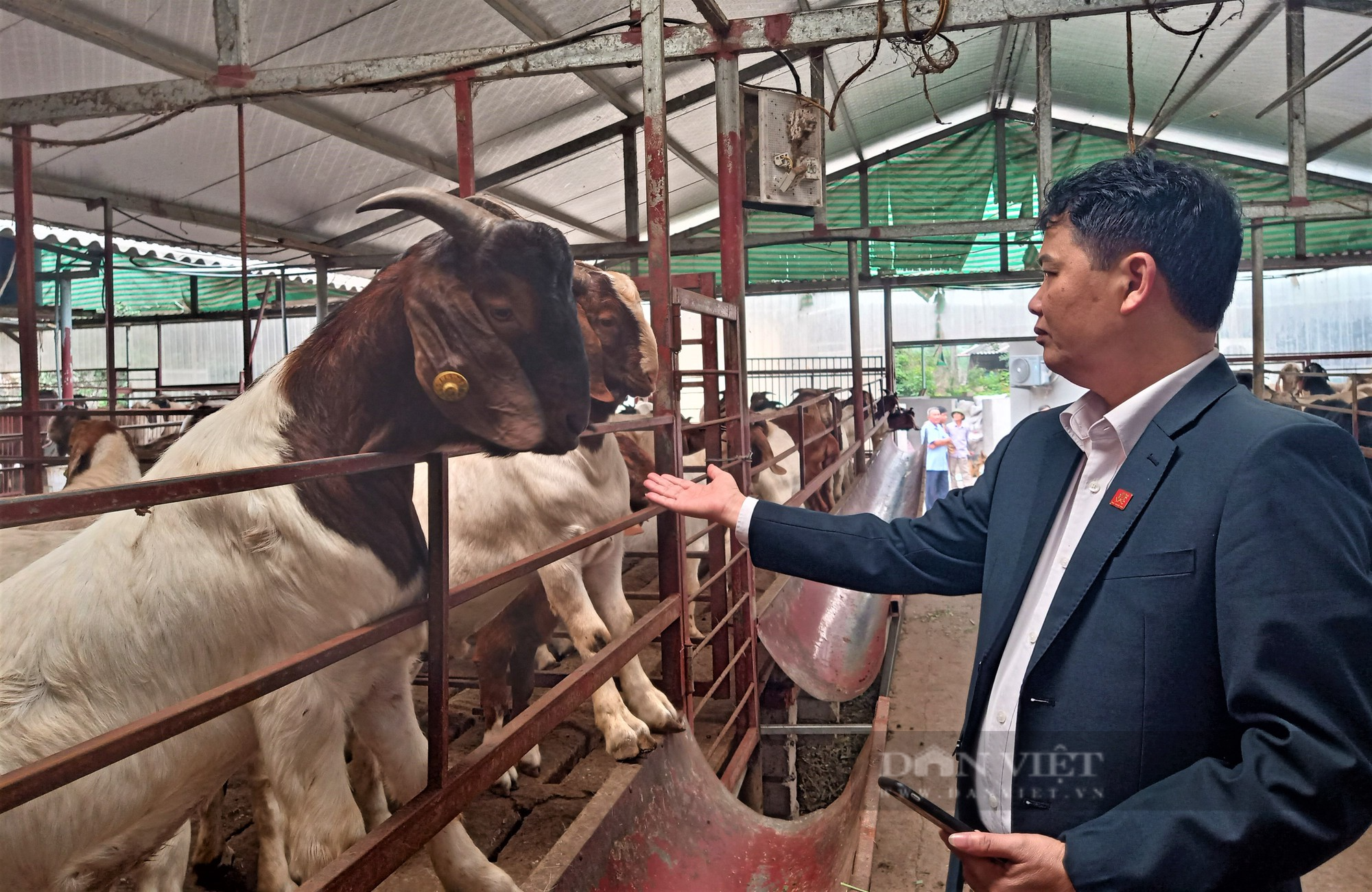 Hải Dương: Ra mắt chi hội nghề nghiệp chăn nuôi dê thương phẩm, giúp nông dân làm giàu - Ảnh 5.