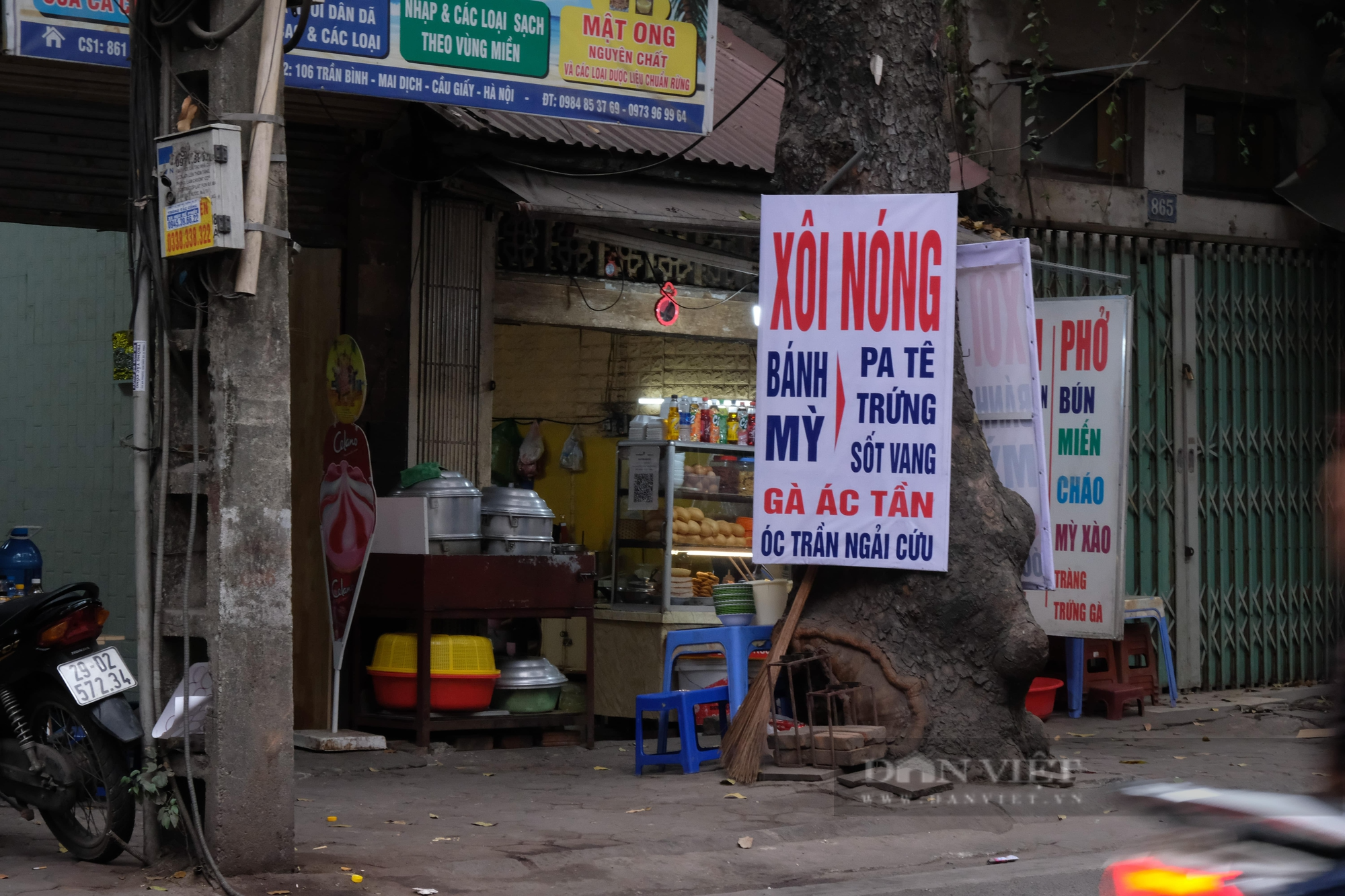 Quận Ba Đình: Hàng loạt cây xanh bị đóng đinh để treo bảng hiệu - Ảnh 3.