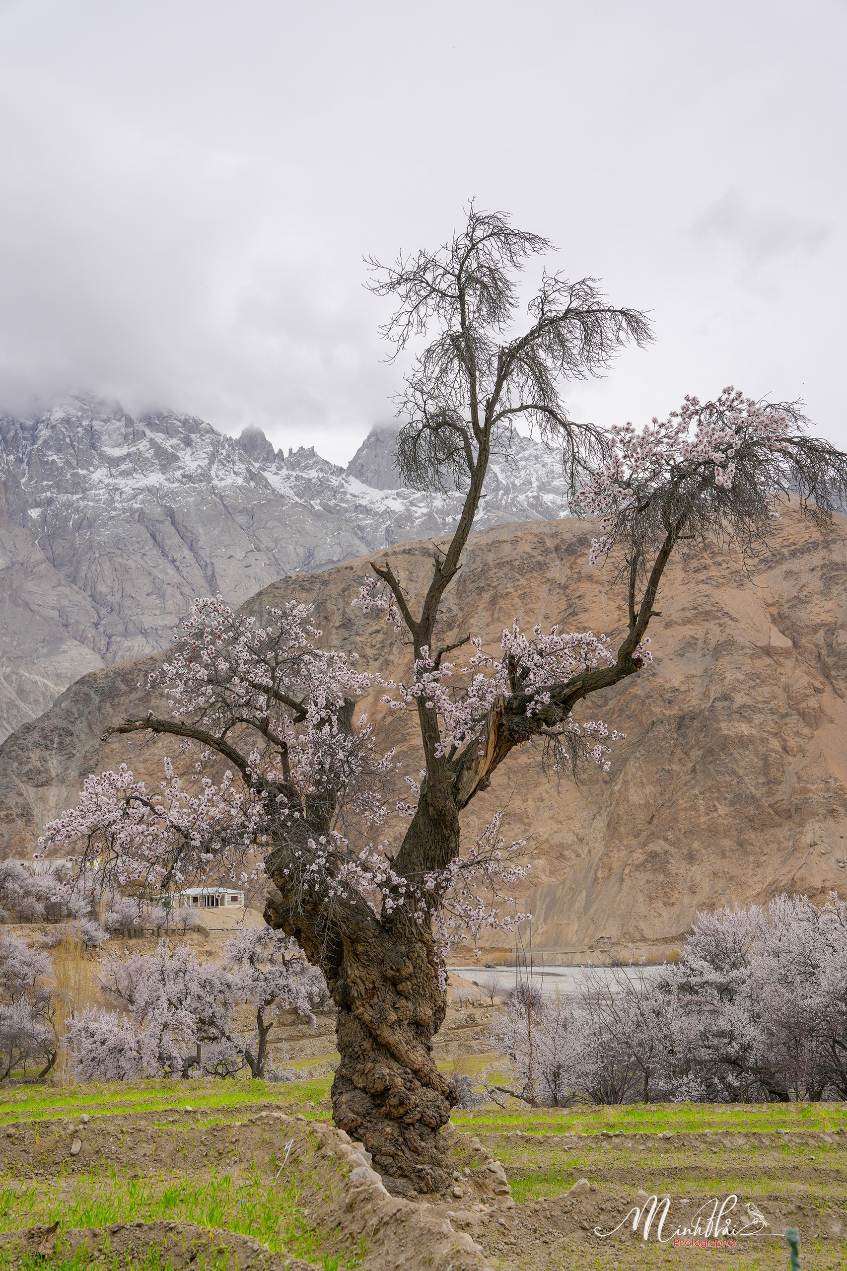 Khung cảnh dịu dàng, nên thơ của mùa xuân ở thung lũng Hunza - Ảnh 6.