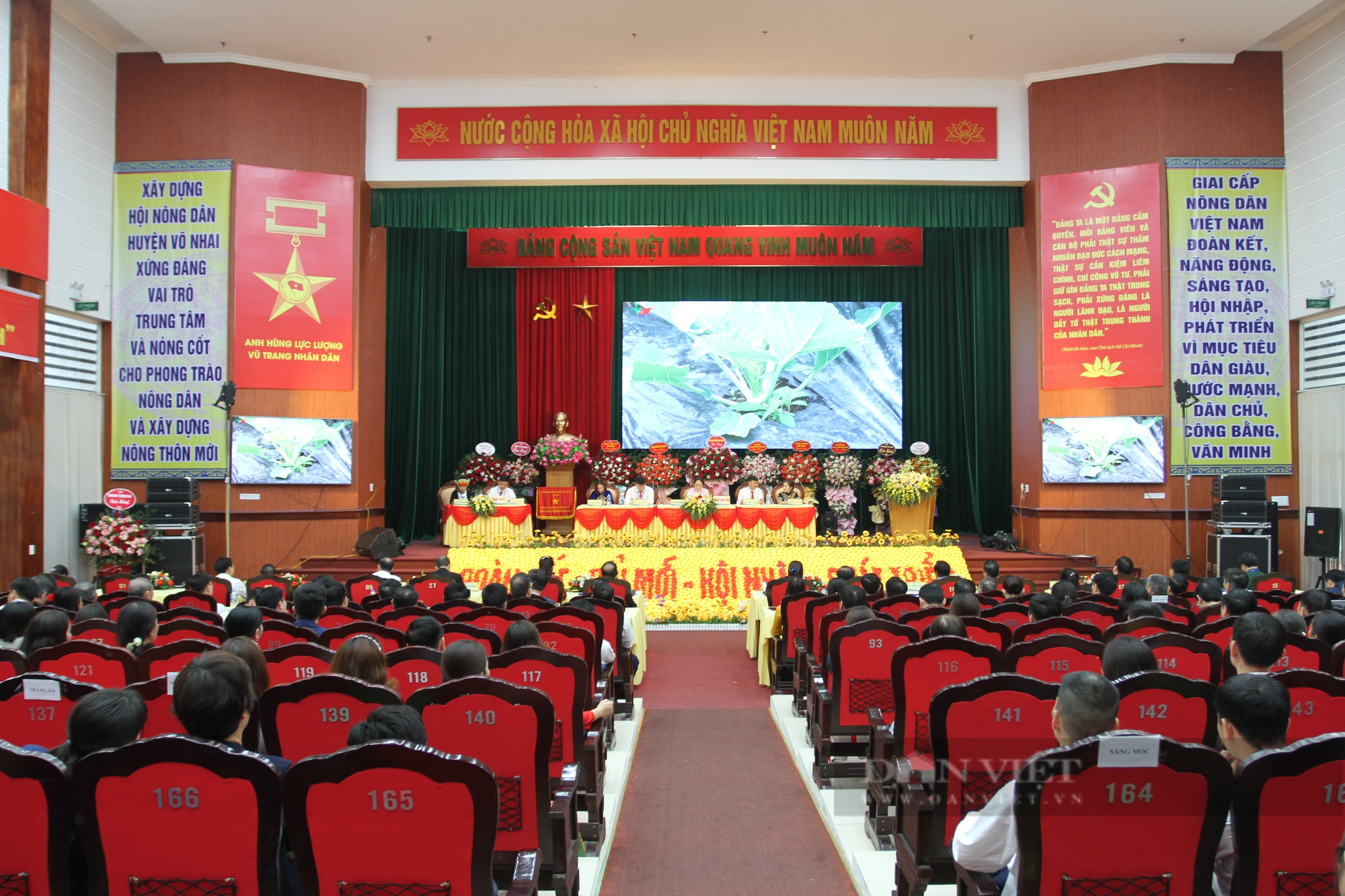 Khai mạc Đại hội đại biểu HND huyện Võ Nhai lần thứ X, bà Triệu Thị Nhinh tái đắc cử chức danh Chủ tịch - Ảnh 1.