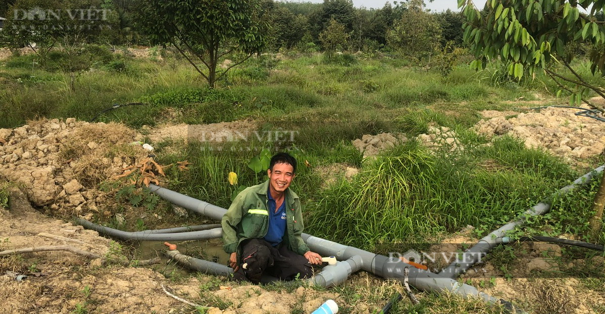 Giữa cánh đồng ở Bình Thuận, có “con ông trời” nuôi con đen sì dưới gốc cây đầy gai, thu tiền tỷ hàng năm - Ảnh 5.
