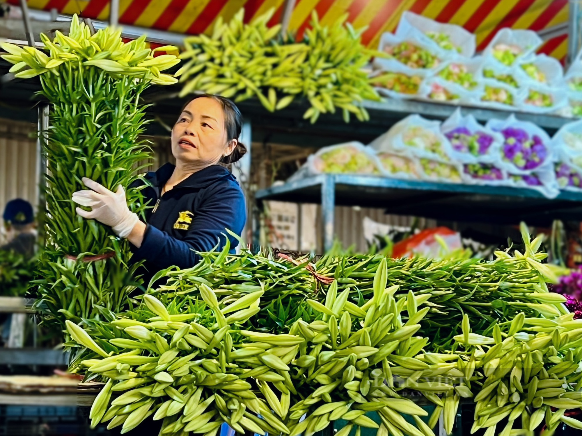 Hoa loa kèn bung nở, nông dân Hà Nội thu hàng chục triệu mỗi ngày - Ảnh 12.
