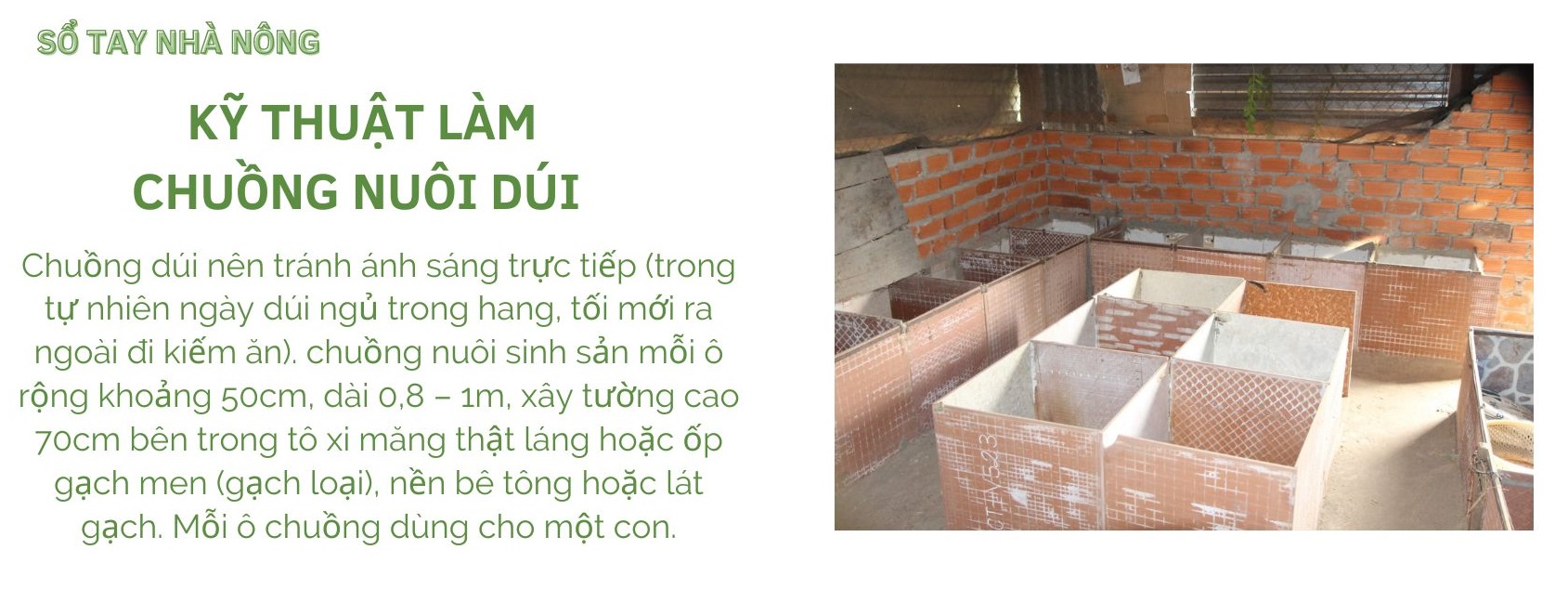 SỔ TAY NHÀ NÔNG: Kĩ thuật nuôi dúi cơ bản cho người mới bắt đầu - Ảnh 2.