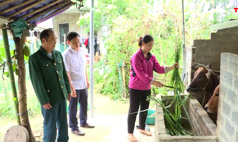 mô hình giảm nghèo thanh hóa 