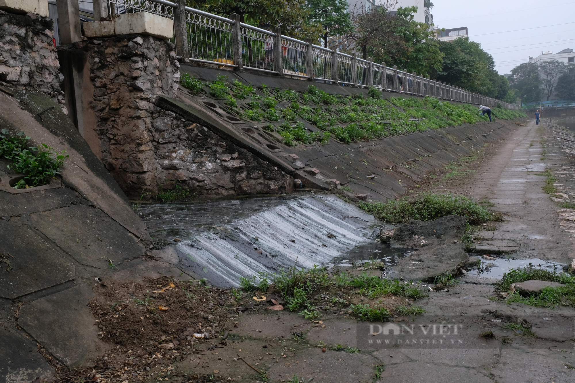 Quận Thanh Xuân: Cống nước thải hôi thối xả thẳng ra hồ điều hòa Hạ Đình - Ảnh 2.
