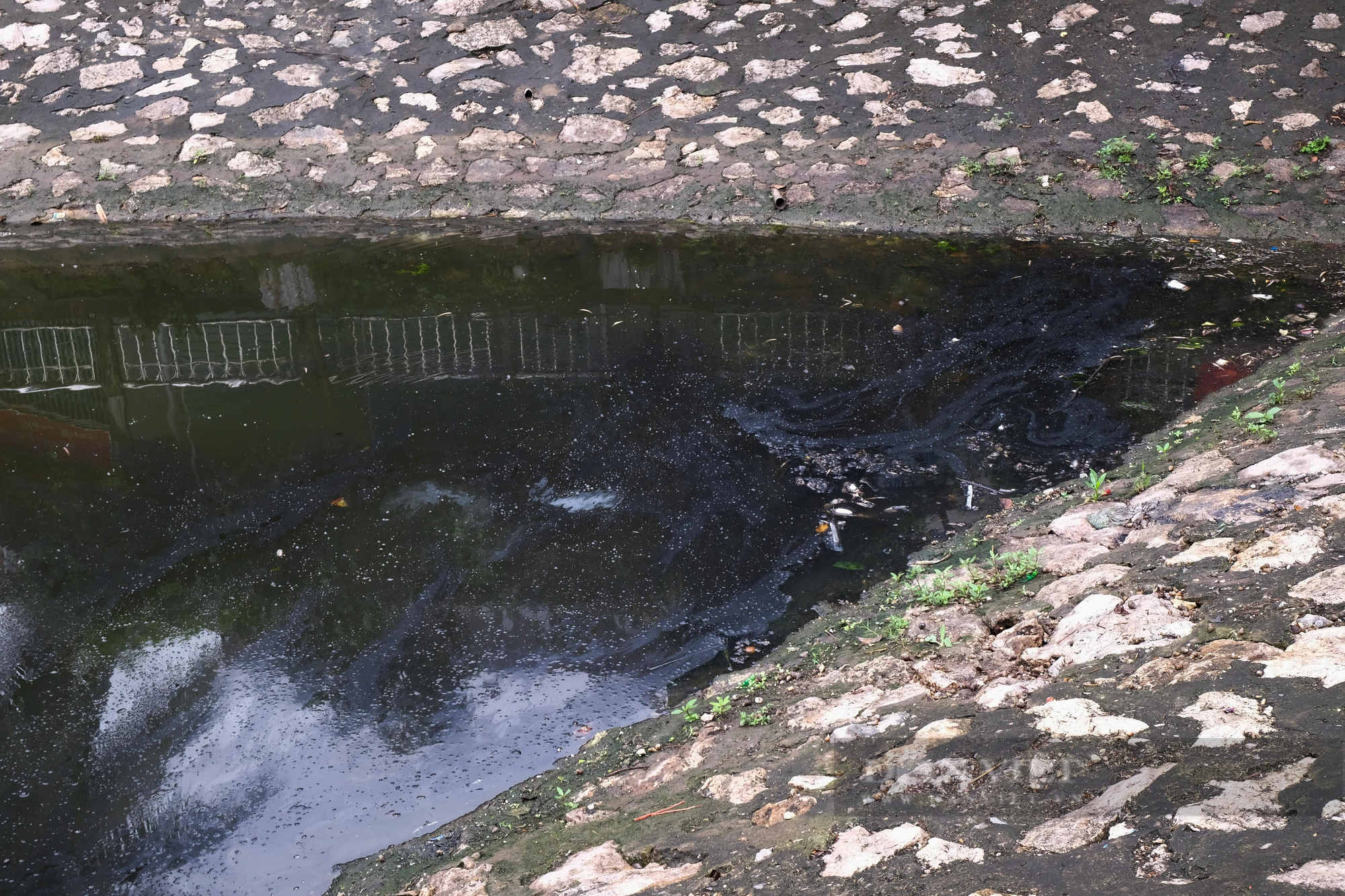Quận Thanh Xuân: Cống nước thải hôi thối xả thẳng ra hồ điều hòa Hạ Đình - Ảnh 4.