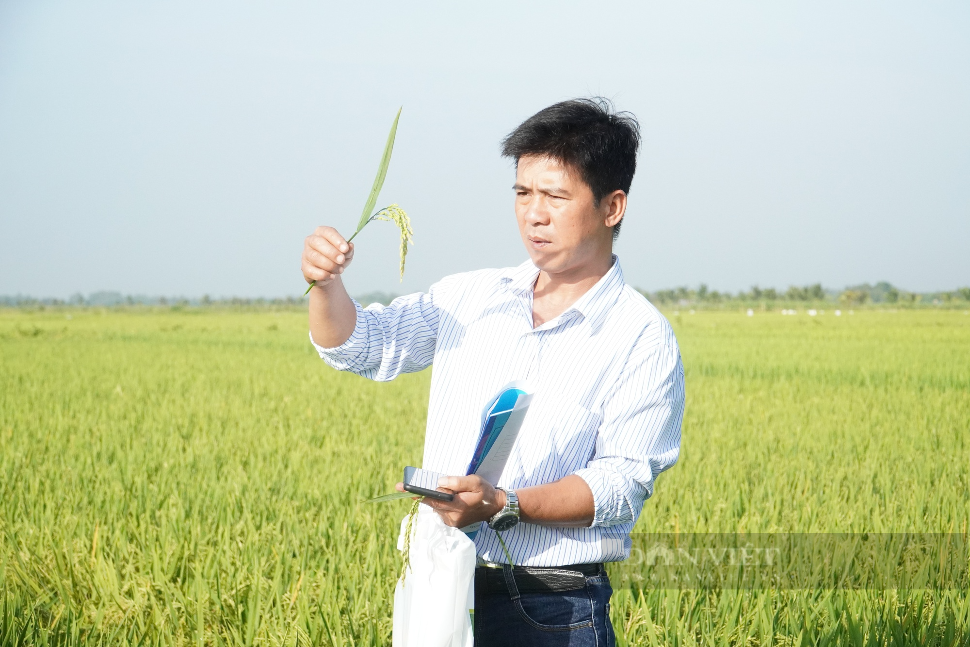 Việt Nam trồng lúa giảm phát thải đầu tiên trên thế giới: Nông dân có thể làm tốt hơn mong đợi (Bài 2) - Ảnh 1.