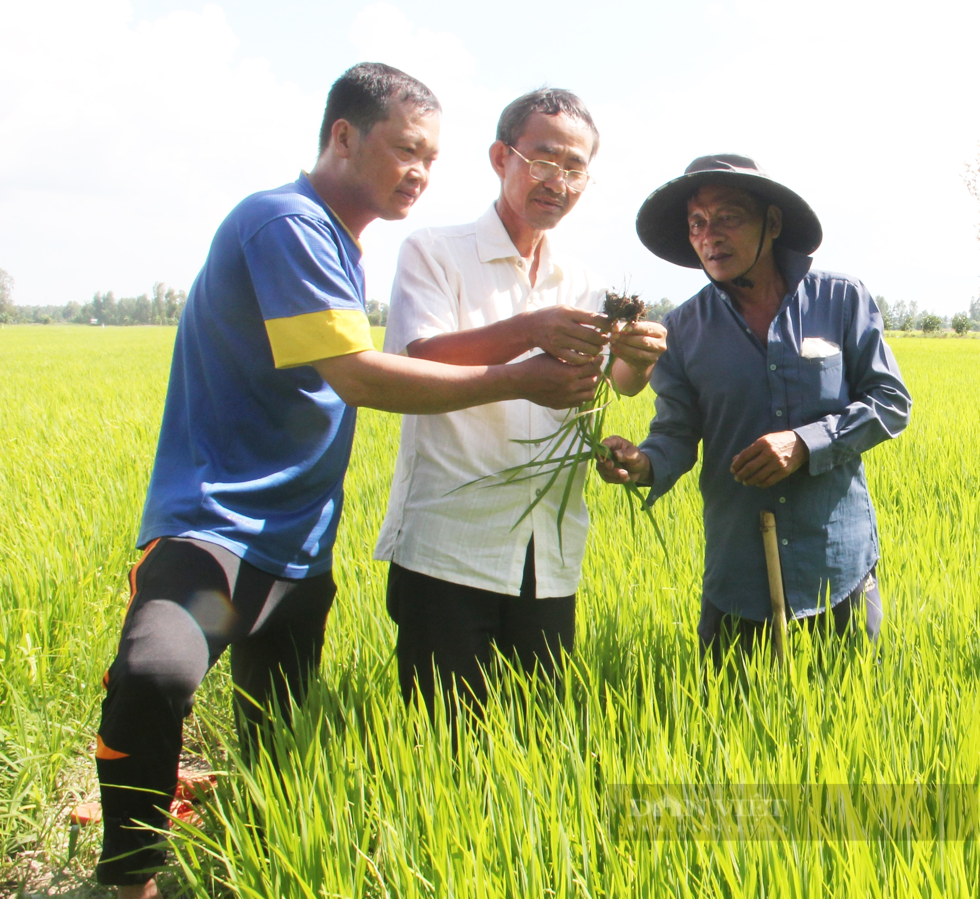 Việt Nam trồng lúa giảm phát thải đầu tiên trên thế giới: Nông dân có thể làm tốt hơn mong đợi (Bài 2) - Ảnh 2.