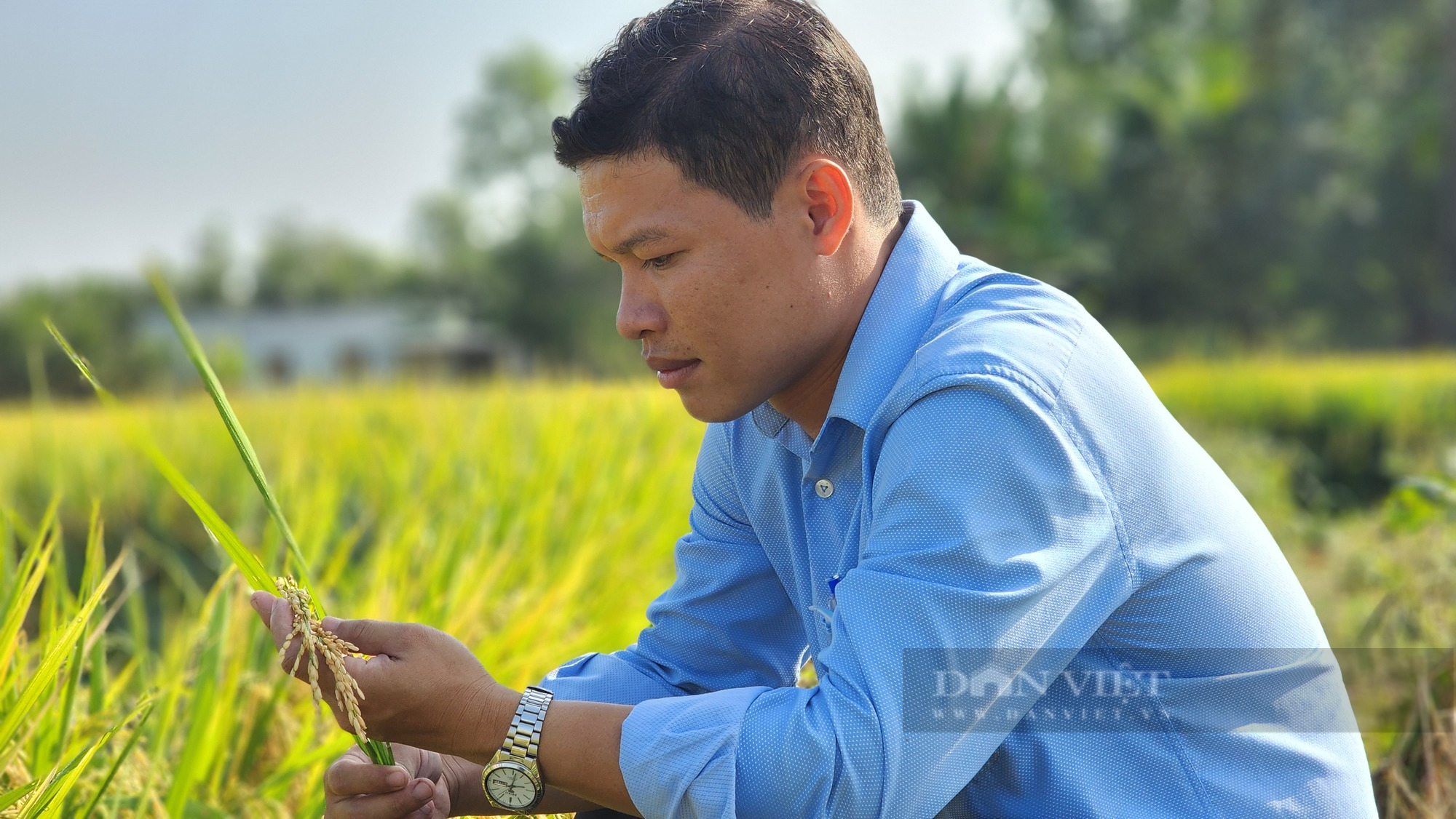 Việt Nam trồng lúa giảm phát thải đầu tiên trên thế giới: Nhiều địa phương đồng lòng tham gia (Bài 1) - Ảnh 2.