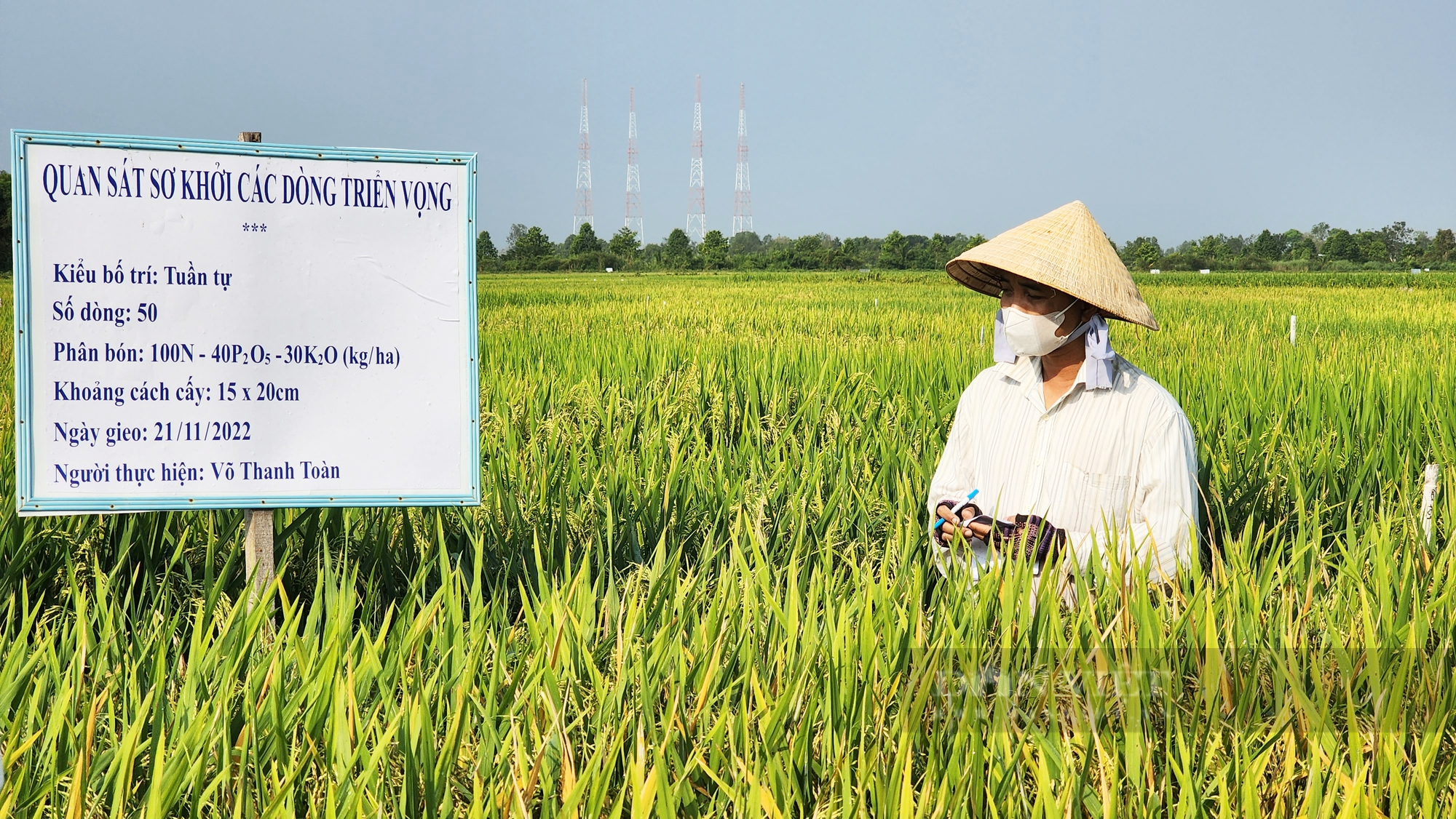 Việt Nam trồng lúa giảm phát thải đầu tiên trên thế giới: Bộ trưởng Lê Minh Hoan kỳ vọng lớn (Bài 5) - Ảnh 1.