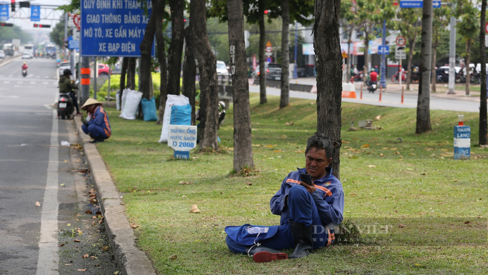 Nhà cao tầng san sát trên 8km Xa lộ Hà Nội mà TP.HCM muốn đặt tên đường Võ Nguyên Giáp - Ảnh 7.