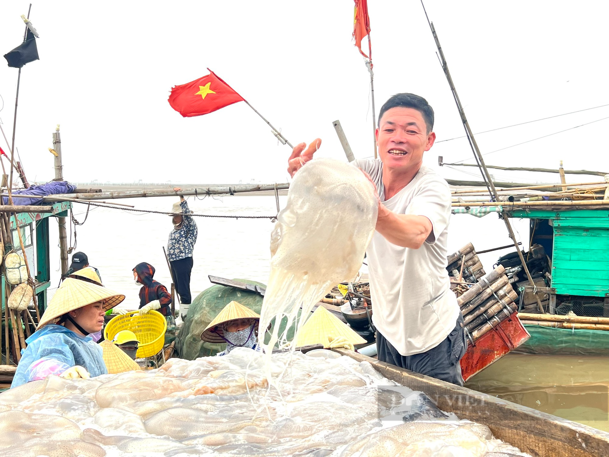 Giá “vàng trắng” tăng gấp 3 lần so với năm trước, ngư dân Thanh Hoá phấn khởi đầu vụ - Ảnh 4.