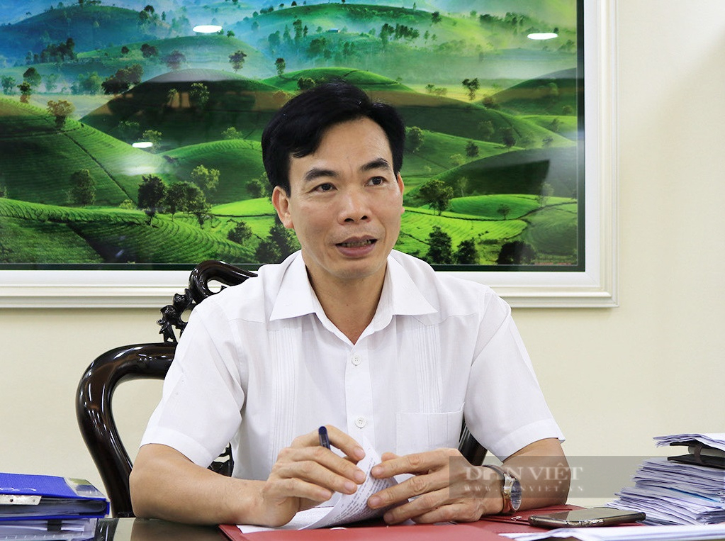 Vụ sắc phong Việt Nam bị rao bán ở Trung Quốc: Sở Văn hóa Thể thao Du lịch Phú Thọ lên tiếng - Ảnh 1.