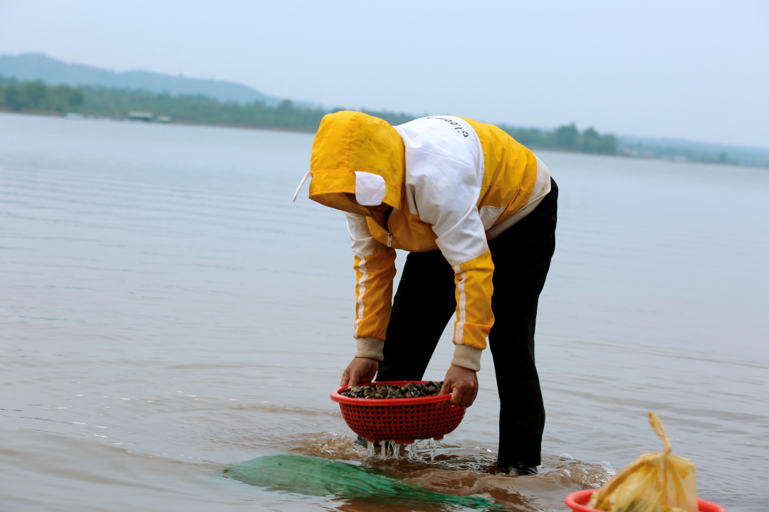 Đàn ông, đàn bà nhóm ba, nhóm bảy lội xuống một hồ đẹp ở Đắk Lắk bắt con luộc lên nước ngọt lừ - Ảnh 8.