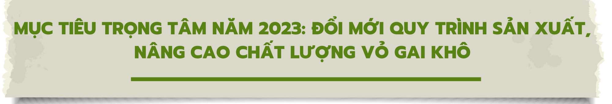 Hoàn thiện và nâng cao quy trình sản xuất vùng nguyên liệu cây gai xanh - Ảnh 9.