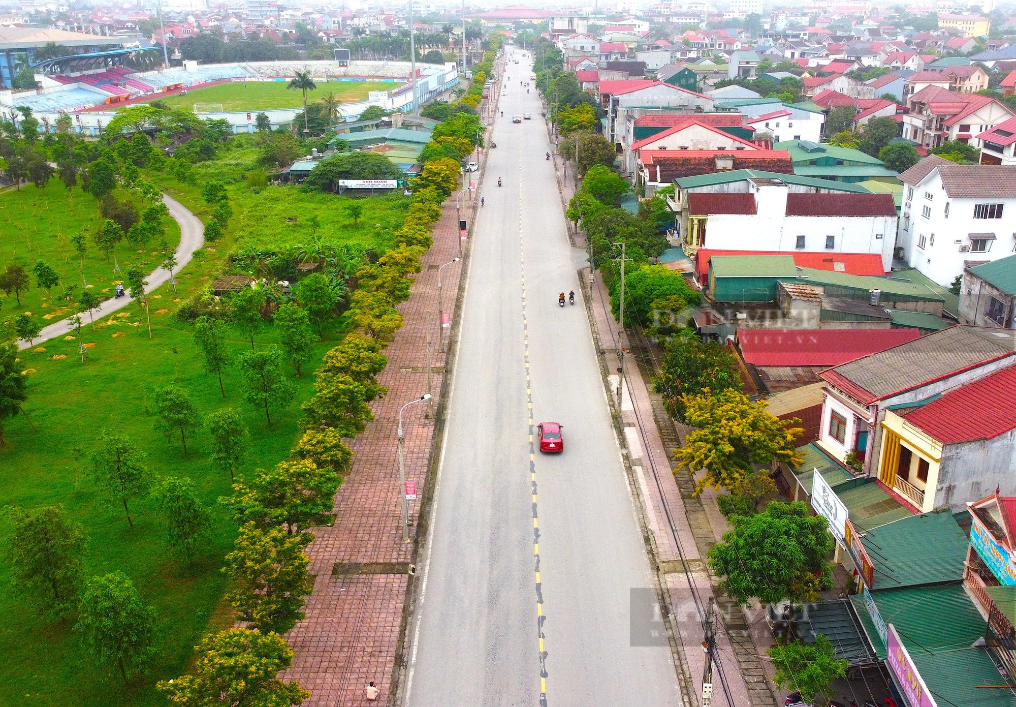 Lạc bước trên con đường hoa Giáng Hương đẹp như “phim Hàn” giữa lòng TP.Hà Tĩnh - Ảnh 2.