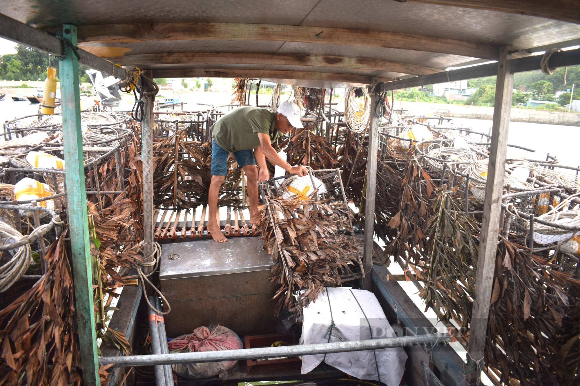 Nghề bẫy mực ở Cô Tô - Ảnh 4.