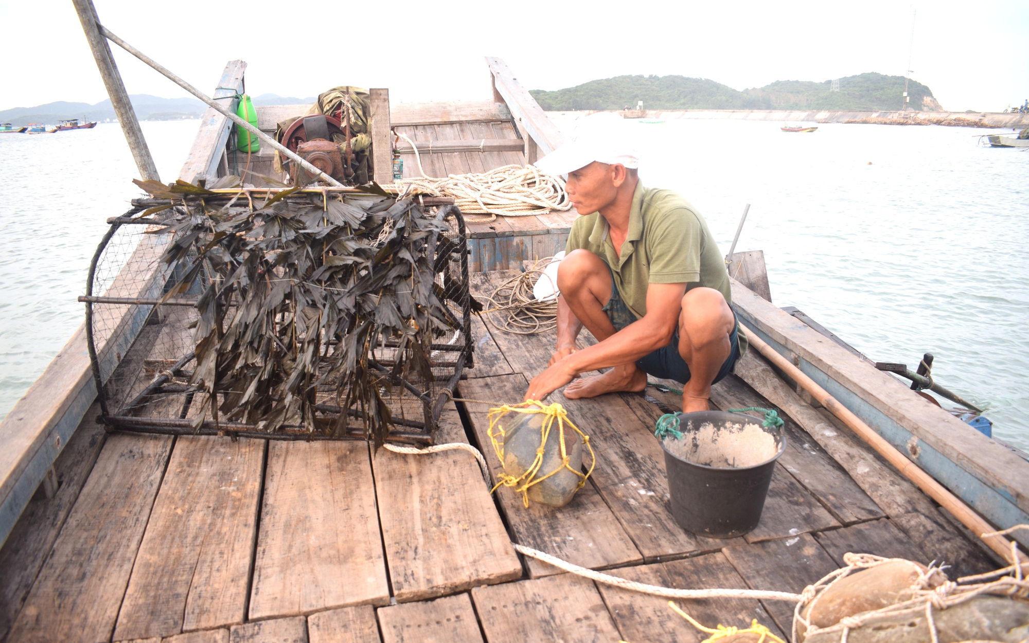 Bồng bềnh cả đêm trên biển Cô Tô ở Quảng Ninh dụ bẫy loài cá mực cực ngon, dân kiếm tiền triệu